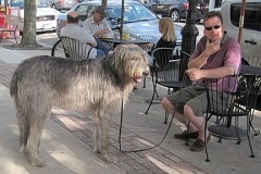 1barkin-on-the-block-h-5