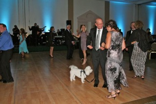 2010 Blue Moon Bark Ball