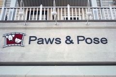 puttin_-on-the-dog-h-1