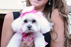 puttin_-on-the-dog-v-7