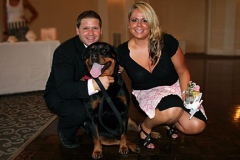 12011-gala-h5