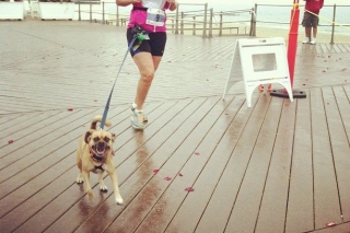 2013 Canine Classic 5K Run/Walk